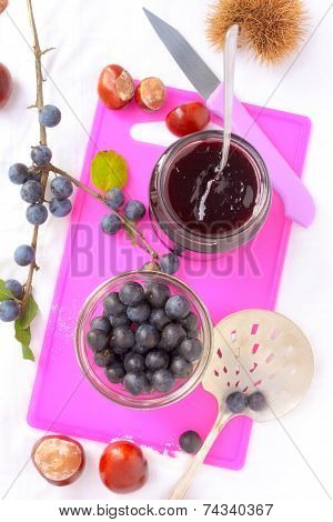 Sloe