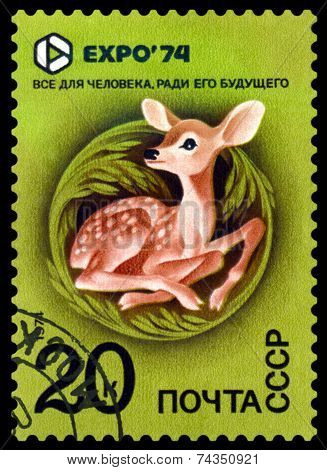 Vintage  Postage Stamp. Expo 74. Fawn.