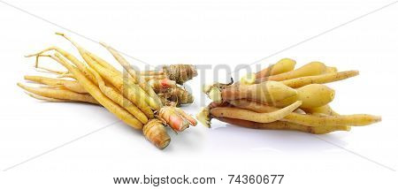 Fingerroot, Kaempfer, Boesenbergia On White Background