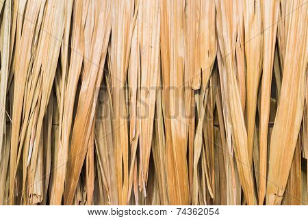 Dried brown banana leaf texture background