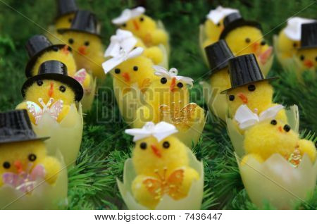 Mariage de poules de Pâques