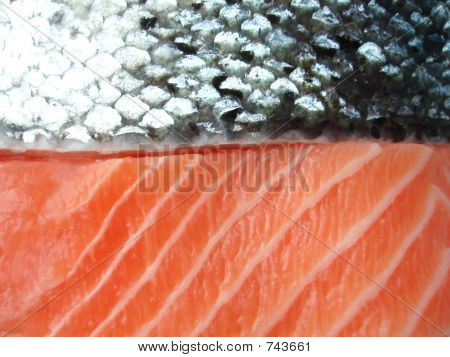 Łosoś filet