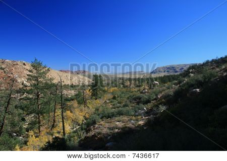 Pine Creek Canyon