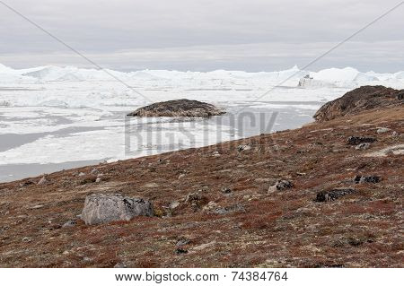 Arctic Landscape In Greenland With Icebergs
