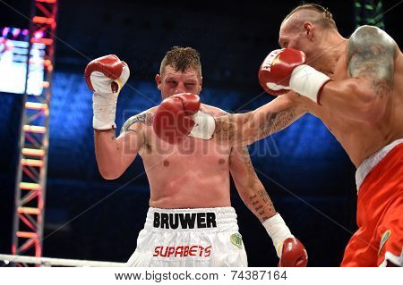 Boxing for champions belt