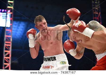 Boxing for champions belt