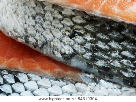 Salmon Fish Steaks Detail