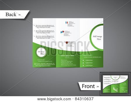 Tri Fold Green Brochure