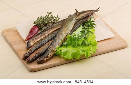 Lamprey