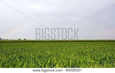Rainbow Over Vercelli Countryside