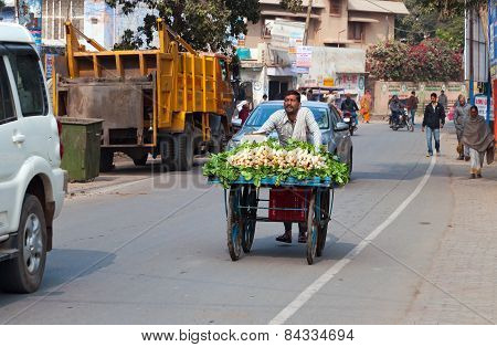 Indian Man Carries A Cart With Vegetables On The Road