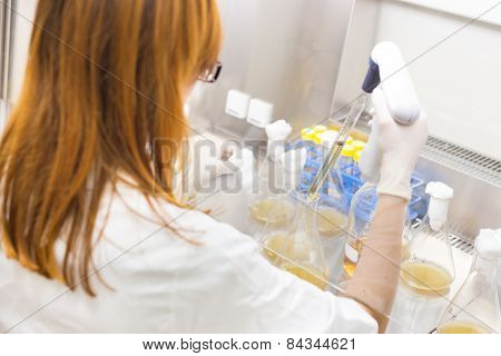 Life scientist researching in the laboratory.