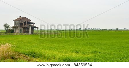 Countryside Near Vercelli