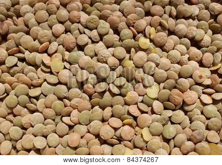 Healthy brown dry lentils prepared for cooking.