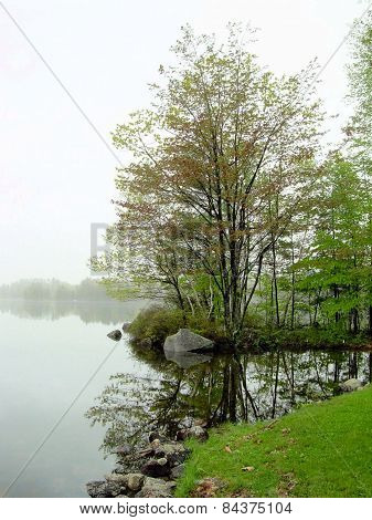 Maine Lake