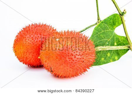 Gac Fruit Isolated On White Background