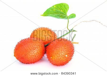 Gac Fruit Isolated On White Background