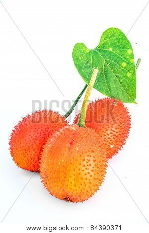 Gac Fruit Isolated On White Background