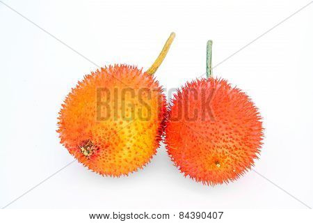 Gac Fruit Isolated On White Background