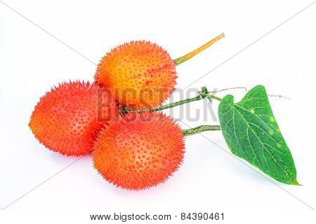 Gac Fruit Isolated On White Background