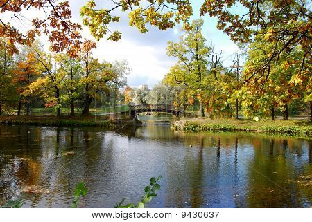 在 Gatchina 中的秋天