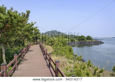 Landscape Of Jeju Olle Cours No. 2