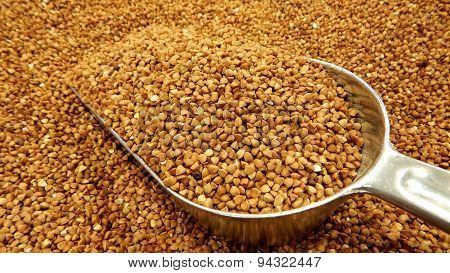 Buckwheat groats in bulk closeup