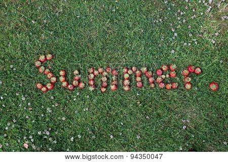 The Word Summer Spelt in Strawberries (landscape format)