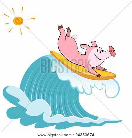 Cartoon Pig Surfer