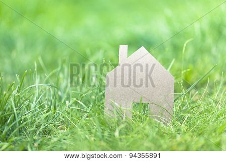 eco friendly living concept