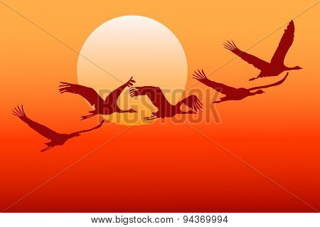 Flying crane.