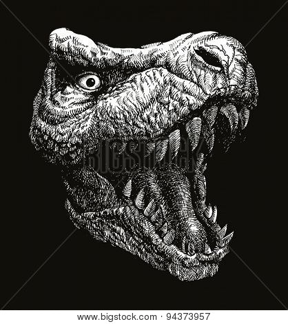 Trex Dinosaur Vector hand drawn background.