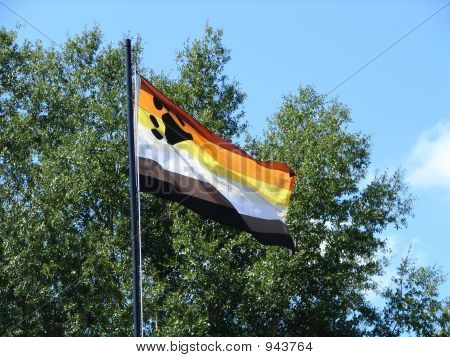 store bearpaw flag 