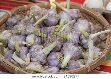 Sonoran Purple Garlic in a Basket