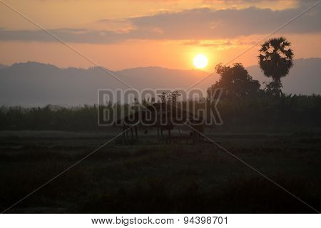 Asia Myanmar Myeik Landscape