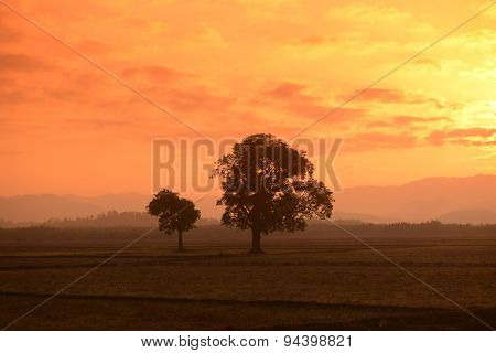 Asia Myanmar Myeik Landscape