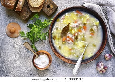 Rassolnik - Traditional Russian Soup With Pickled Cucumber And Chicken.top View.