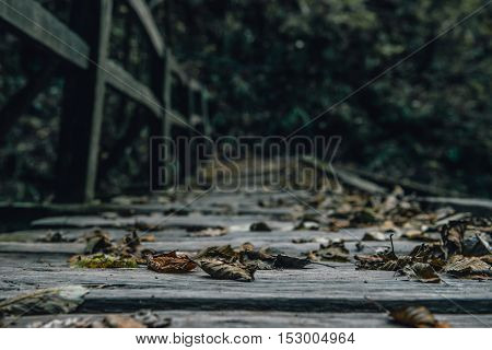 Autumn Leaves on the Old Wood Bridge in the Forest