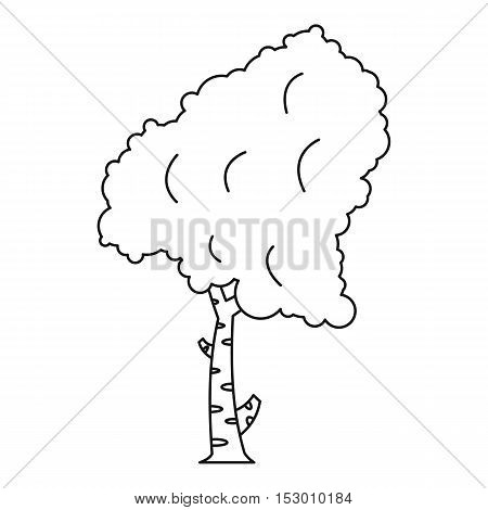 Birch tree icon. Outline illustration of birch tree vector icon for web