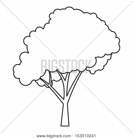 Tree icon. Outline illustration of tree vector icon for web