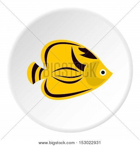 Fish yellow tang icon. Flat illustration of fish yellow tang vector icon for web