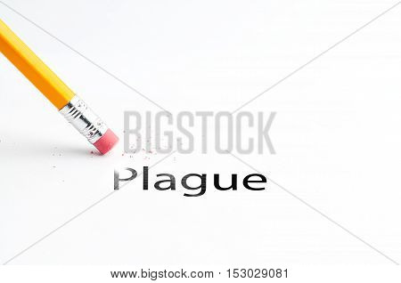 Closeup of pencil eraser and black plague text. Plague. Pencil with eraser.