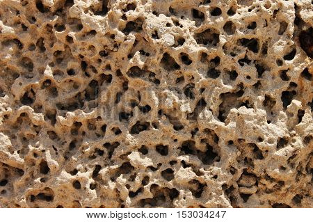 Close up limestone pattern with small holes