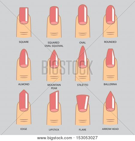 Set of different shapes of nails on gray. Nail shape icons. Manicure polish. Vector illustration