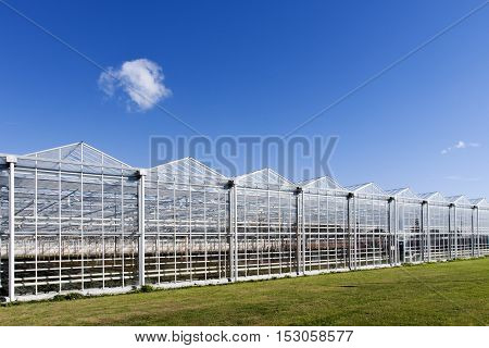 Greenhouse in the municipality Westland in the Netherlands