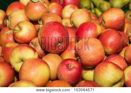 Group of red apples. Apple. Apple background. Red apple. Closeup shot of fresh red and yellow apples.