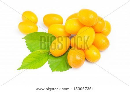 Kumquat with leaf on a white background.