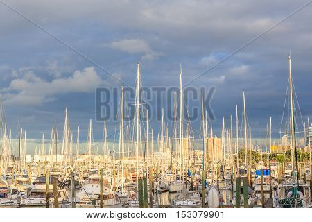 Auckland New Zealand- December 9 2013. Boats mooring at the Westhaven Marina.