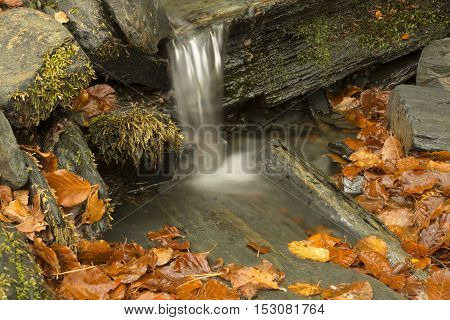 Small waterfall in beech forest Tejera Negra. Guadalajara Spain