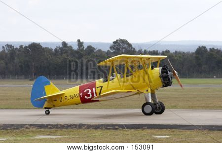 Gypsy Moth